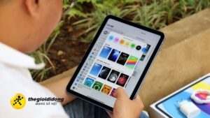 1 123639020104626277125