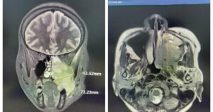 1 17678414258351594017930 51 0 784 1400 Crop 1767841620185758831703