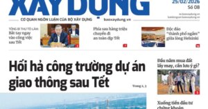 1 177197978409311244335 0 0 500 800 crop 1771979788119576116590