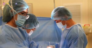 1 1775615226896574621016 0 0 733 1400 crop 17756153333001222028670