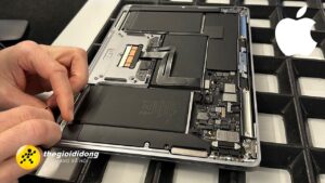 1 2639116733225493735