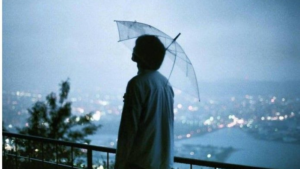 12530b460c1e02aa4db662438d1197db bog13