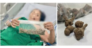 15A Ol 17621706900511222142242 0 62 572 977 Crop 1762170701380101417375