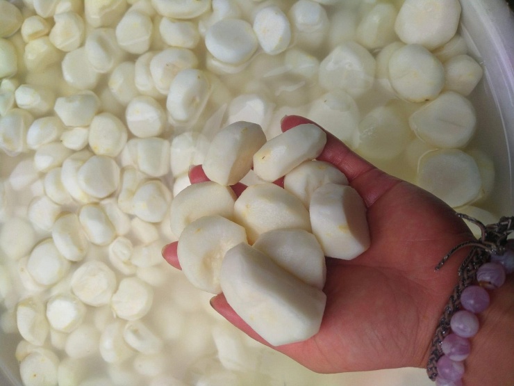 Đặc sản dưới lòng đất có từ Nam ra Bắc, ăn giòn mát, nấu canh càng ngọt thơm 1747480379 cu nang thach lan 2 76283 width1900height1425