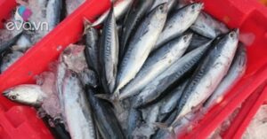 1760451285 135 Thumbnail Width659Height494 Auto Crop Watermark