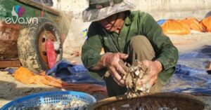 1760537423 491 Thumbnail Width558Height419 Auto Crop Watermark