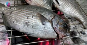 1760619580 963 Thumbnail Width1063Height798 Auto Crop Watermark