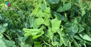 1760708896 994 Thumbnail Width844Height633 Auto Crop Watermark