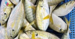 1760873400 495 Thumbnail Width894Height671 Auto Crop Watermark