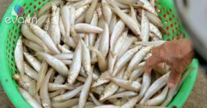 1760964753 68 Thumbnail Width990Height742 Auto Crop Watermark