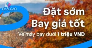 1761121514 553 Thumbnail Width1311Height984 Auto Crop Watermark