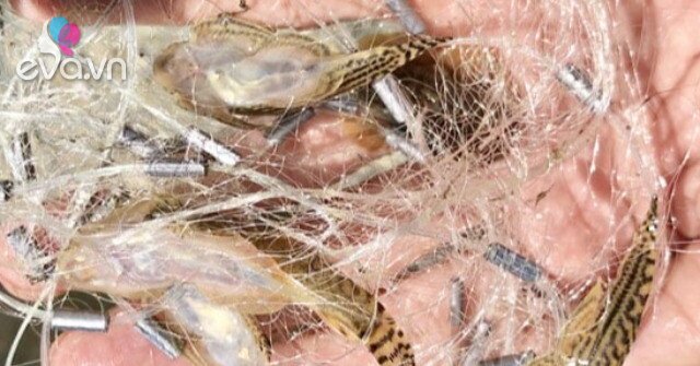 1761140664 172 Thumbnail Width547Height410 Auto Crop Watermark