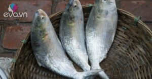 1761397501 428 Thumbnail Width896Height672 Auto Crop Watermark