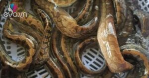 1761573735 635 Thumbnail Width793Height595 Auto Crop Watermark