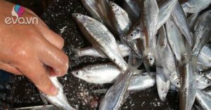 1761909262 783 Thumbnail Width558Height419 Auto Crop Watermark