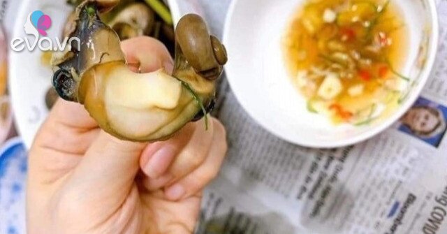 1762177552 207 Thumbnail Width633Height475 Auto Crop Watermark