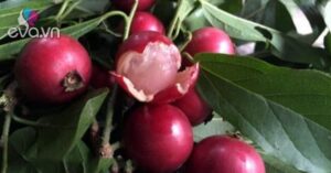 1762521687 997 thumbnail width569height427 auto crop watermark