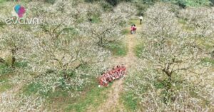 1765150829 246 Thumbnail Width1357Height1018 Auto Crop Watermark