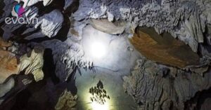 1765336798 497 Thumbnail Width1420Height1065 Auto Crop Watermark