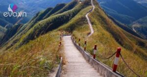 1765611422 574 Thumbnail Width803Height603 Auto Crop Watermark