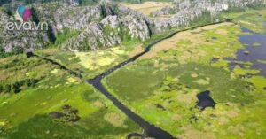 1766797157 936 Thumbnail Width1551Height1163 Auto Crop Watermark