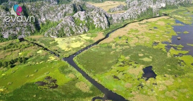 1766797157 936 Thumbnail Width1551Height1163 Auto Crop Watermark