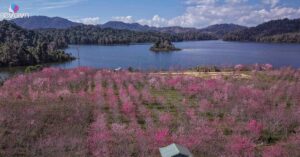 1767494937 Mxh 4937 1 9910 0988 Width1200Height628 Mxh Og Image Watermark