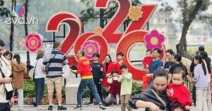 1767582041 564 Thumbnail Width1009Height757 Auto Crop Watermark