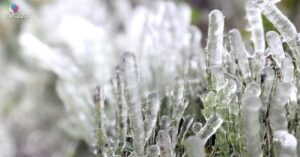 Băng Giá Phủ Trắng Đỉnh Phia Oắc Ở Cao Bằng 1767688158 Mxh 8158 Bang Gia Phu Trang Cao Bang 5138 0 53 540 917 Crop 1259 Width1200Height628 Mxh O