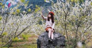 1768200986 35 Thumbnail Width948Height711 Auto Crop Watermark