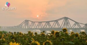 1768276494 724 Thumbnail Width1881Height1410 Auto Crop Watermark