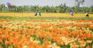 1768533582 812 Thumbnail Width1143Height857 Auto Crop Watermark