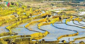 1768617496 845 Thumbnail Width1130Height848 Auto Crop Watermark