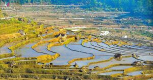 1769052406 Mxh 2405 Khach Tay Thich Thu Check In Ruong Bac Thang Mua Do Nuoc O Pu Luong 2509 Width12