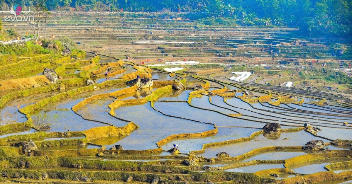 1769052406 Mxh 2405 Khach Tay Thich Thu Check In Ruong Bac Thang Mua Do Nuoc O Pu Luong 2509 Width12