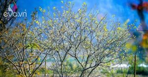 1769241550 295 Thumbnail Width1578Height1183 Auto Crop Watermark