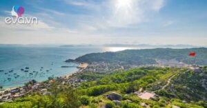 1769342002 21 Thumbnail Width763Height573 Auto Crop Watermark