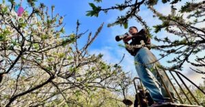 1771642533 231 thumbnail width1293height970 auto crop watermark