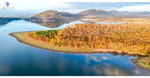 1772895165 Mxh 5164 Thumb Edit Rung Khop Mua Thay La 1 4901 05905 Width1200Height628 Mxh Og Image Wa