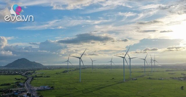 1773019898 131 thumbnail width947height710 auto crop watermark