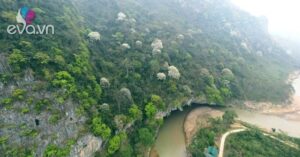 1773814894 21 thumbnail width1572height1179 auto crop watermark