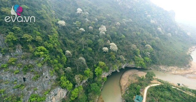 1773814894 21 thumbnail width1572height1179 auto crop watermark