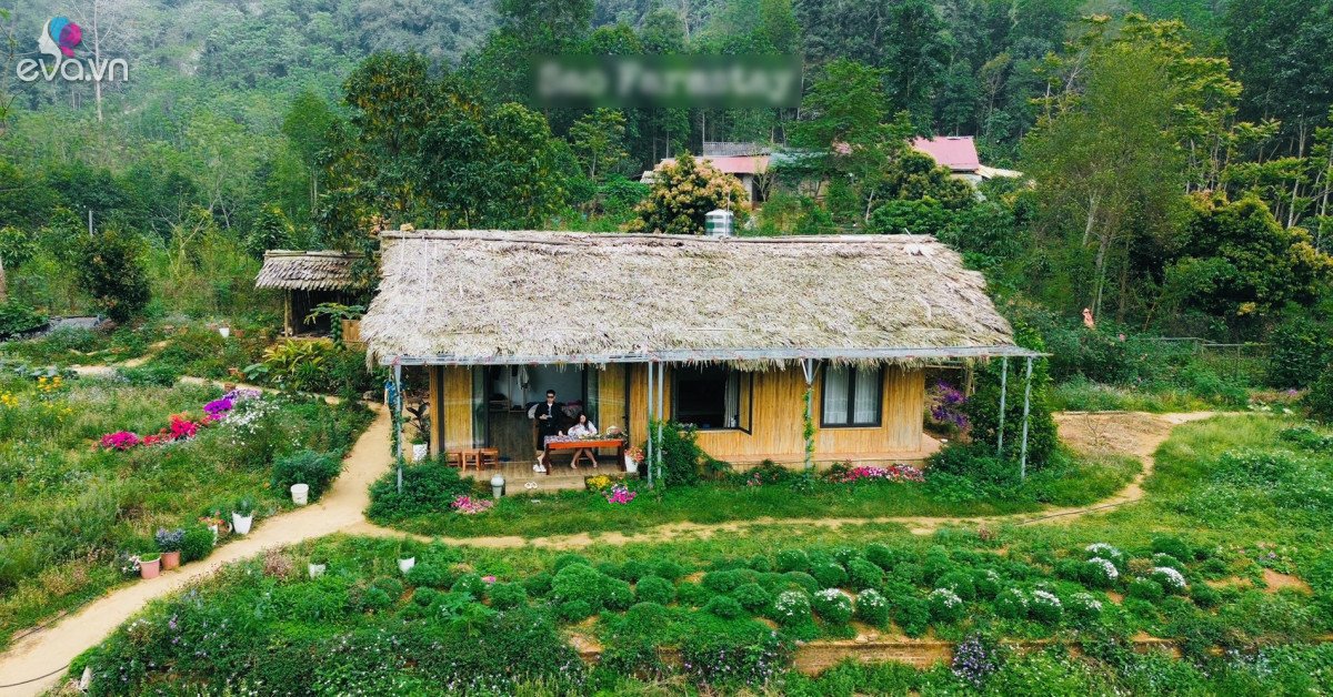 1773877595 mxh 7595 ban lang xanh mat cach ha noi 250km khach vuot xa den hai rau tu nau com 2201 wi