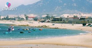 1774223081 896 thumbnail width1685height1264 auto crop watermark