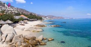 1774712718 483 thumbnail width929height697 auto crop watermark