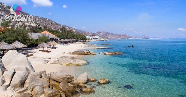 1774712718 483 thumbnail width929height697 auto crop watermark