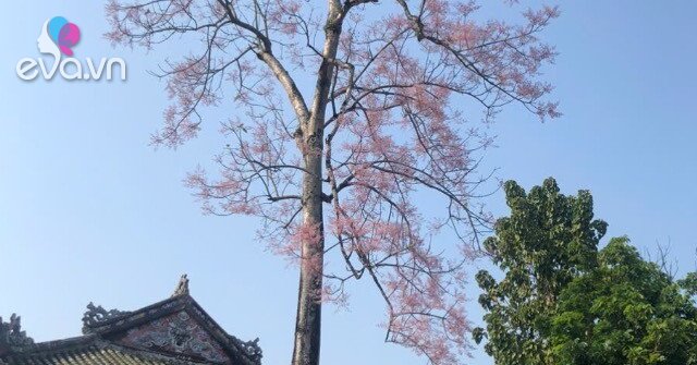 1774929625 266 thumbnail width903height677 auto crop watermark