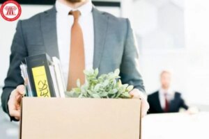 1775136187 Hinh 4102