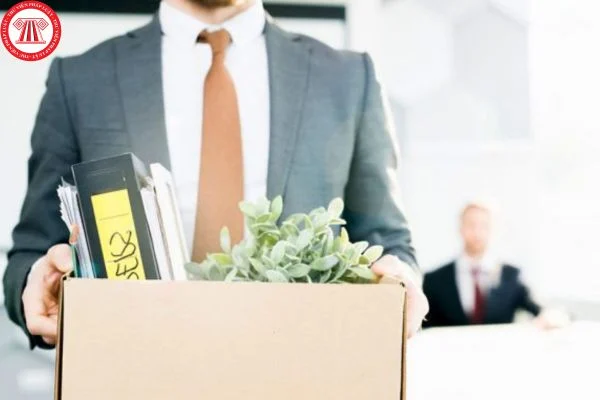 1775136187 Hinh 4102