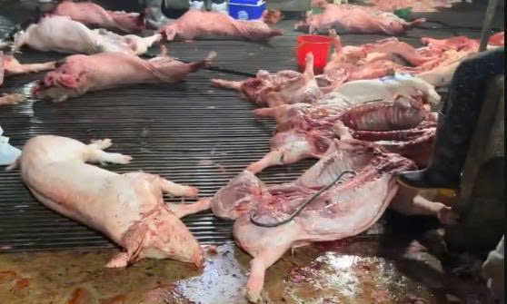 1775266221 photo library 20260329184511 5ffa8af2 13b3 4598 9944 65c22451f916 8